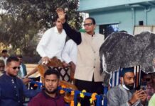 গোগনগরে দিনভর গণসংযোগে মোহাম্মদ আলীর হাতি মার্কার জয়জয়কার