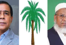 মনির হোসাইন কাসেমীর পক্ষে বিশাল শোডাউনের প্রস্তুতি