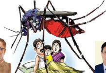 নারায়ণগঞ্জ কি এবারও ডেঙ্গুর হটস্পট হবে?